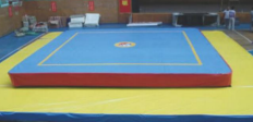 High quality Boxing Ground Fence Floor Sanda Arena