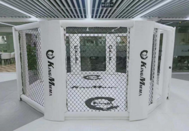 High quality Floor Type Boxing Court Octagon Cage