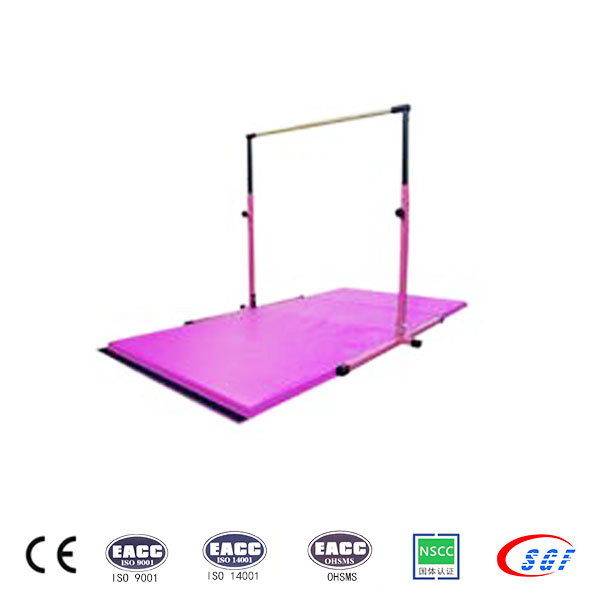  Customized gymnastics equipment leisure horizontal bar for kids