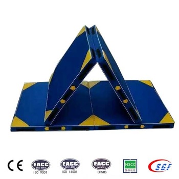 Creative OEM and ODM gymnastic schools exercise cushion