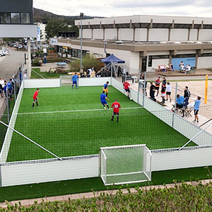 Soccer Field Sports Competition Cage/Professional Sports Field Sports Court/Sports Field Equipment