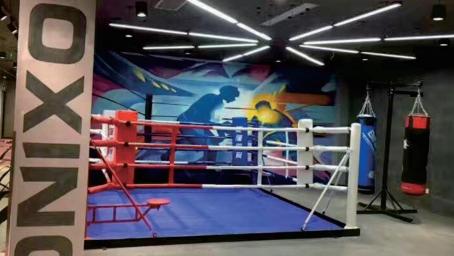 High quality Floor Type Boxing Court Ground Boxing Ring