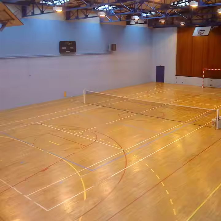 Hot Sale Top-Rated Shock Absorbing Badminton Wooden Floor Easy to Install Roll Package for Basketball