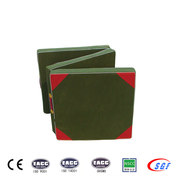 Creative OEM and ODM gymnastic schools exercise cushion
