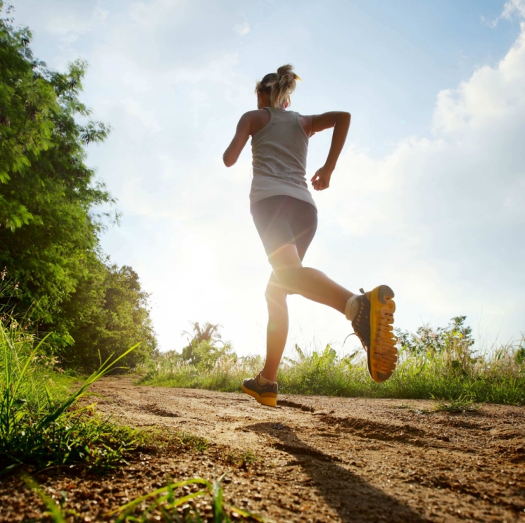 5 Little Known Facts About Sports Science