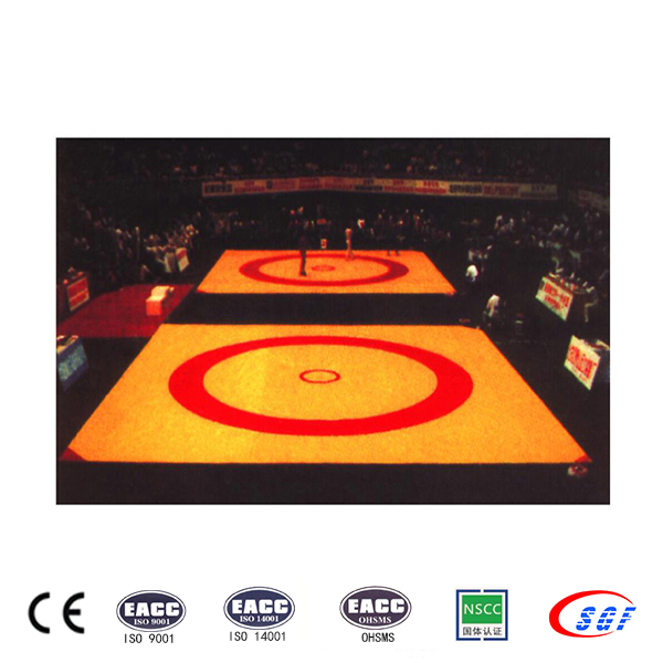 Wrestling mat for hot sale gym equipment