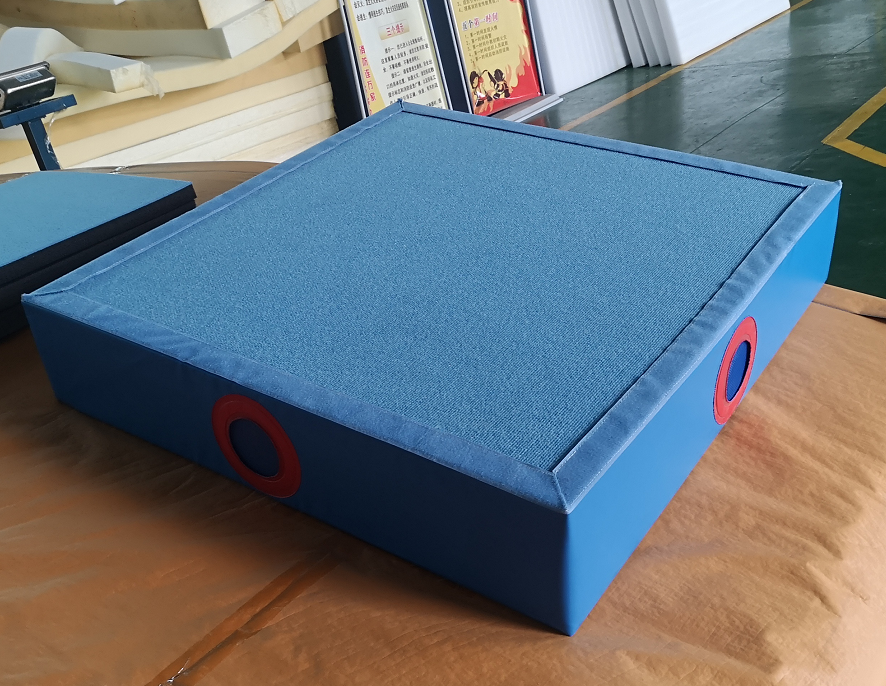 High Quality Gymnastic Mat Sports pads/Portable Professional Mat