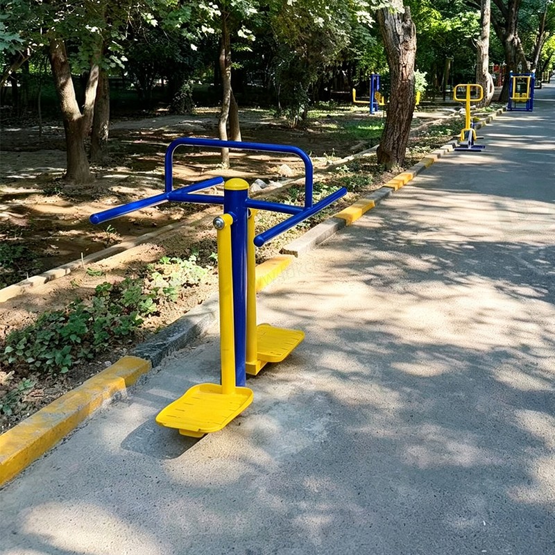 Outdoor Fitness Equipment Double Swing Board | Waist & Balance Trainer for Parks, Schools and Communities