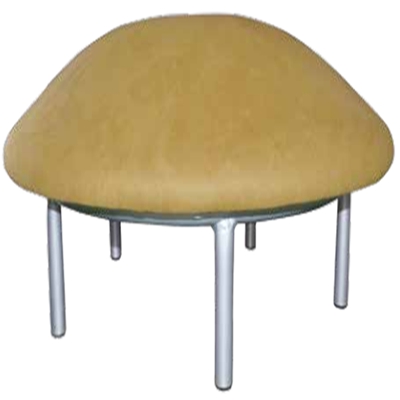 Mushroom trainer