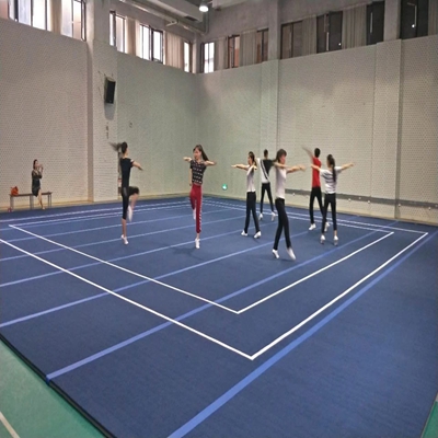 Gymnastic field for training  / Free exercise floor for training / Rhythmic gymnastic field for training