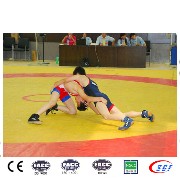 Fashional OEM and ODM gymnastic equipment cheap wrestling mats