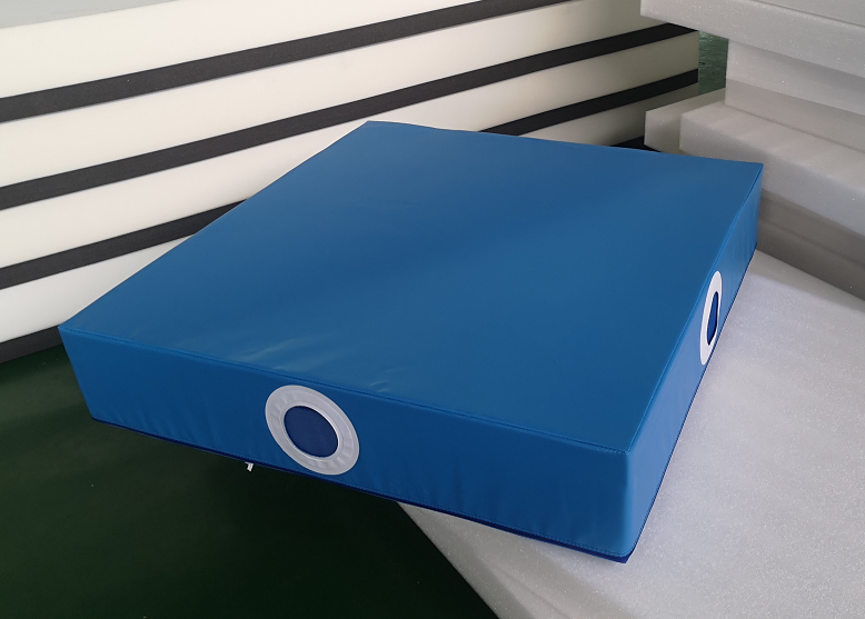 High Quality Gymnastic Mat Sports pads/Portable Professional Mat