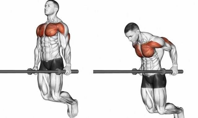 Which is better, parallel bar dips or push ups