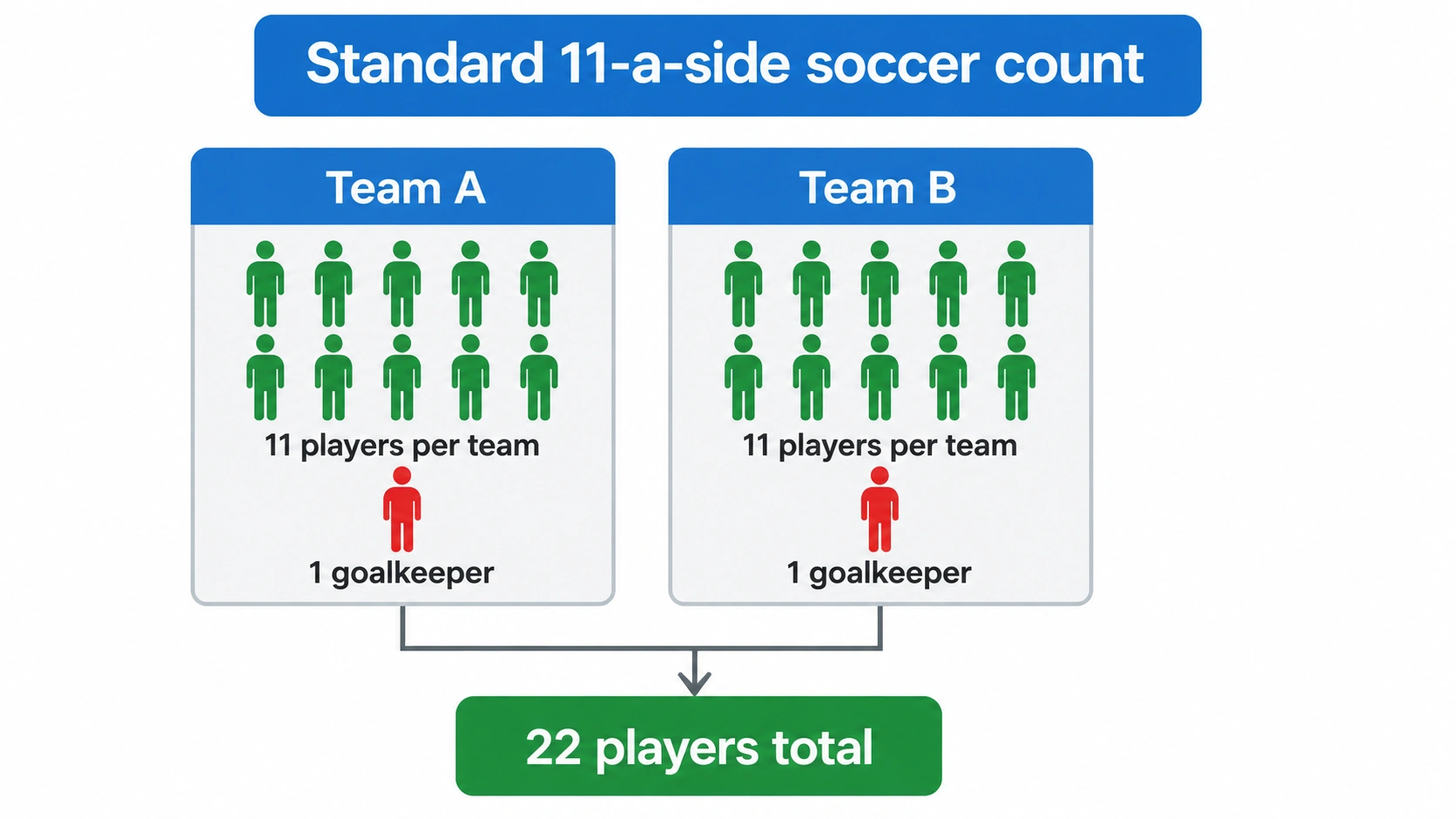 Standard 11-a-side soccer count showing 11 players per team, one goalkeeper per team, and 22 players total